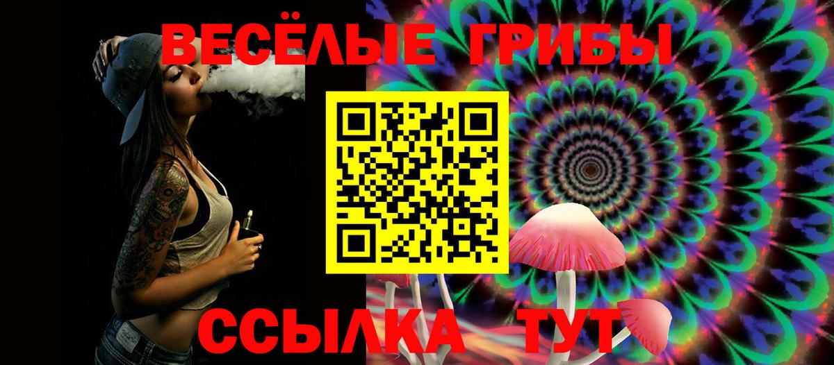 Гусиноозёрск  Псилоцибиновые грибы Psilocybe  где купить   Вход с VPN 